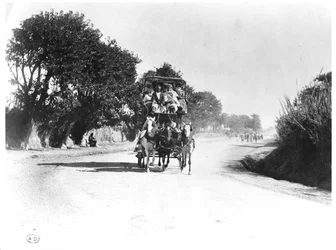 Un coche de caballos en Argelia, finales del siglo XIX
